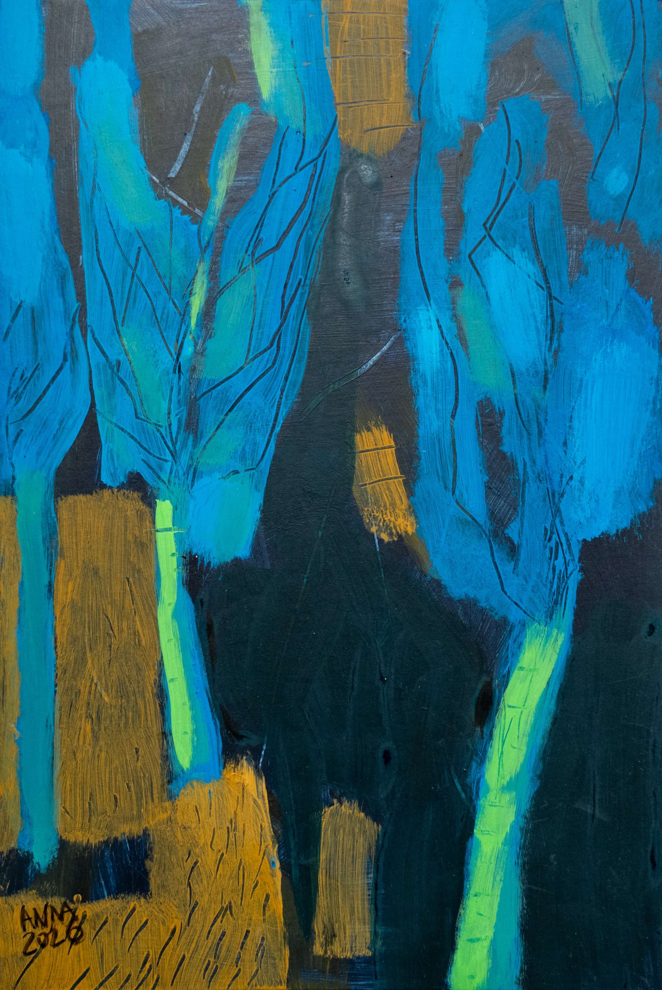 Stromy ve světle
